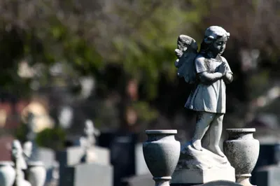 TAS TopArtStone Zbigniew Topór